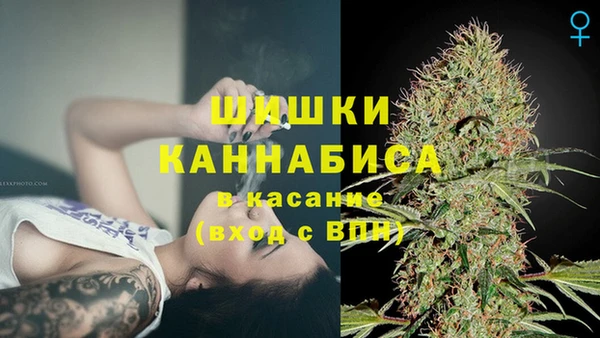 гидропоника Богородицк