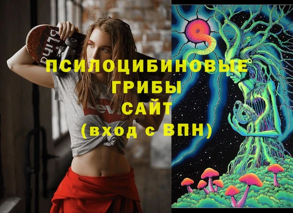 гидропоника Богородицк