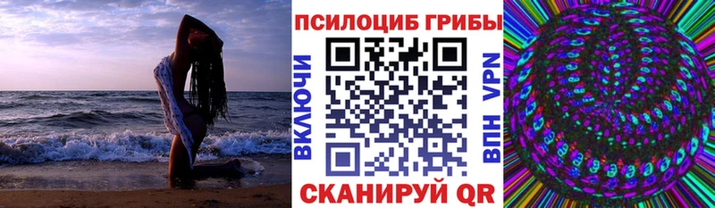Псилоцибиновые грибы мицелий  гидра ссылка  Мезень 